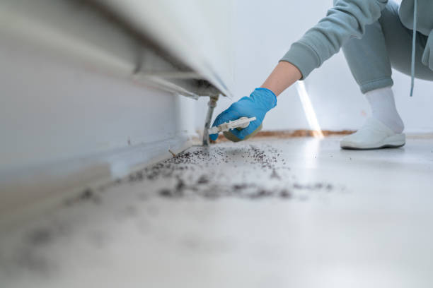 Best Affordable Pest Control Services  in Newstle, CA